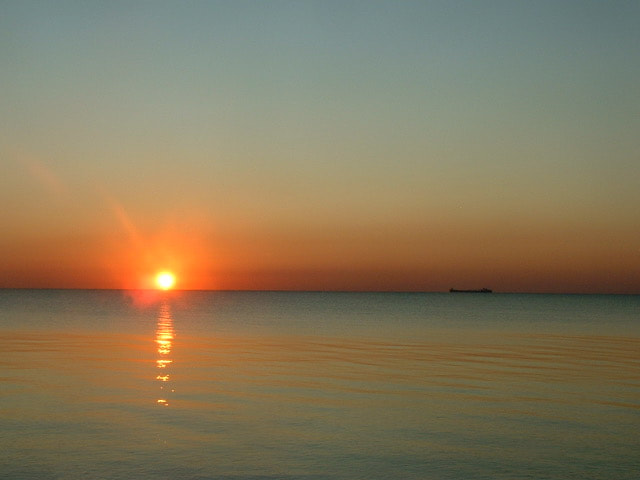 Picture